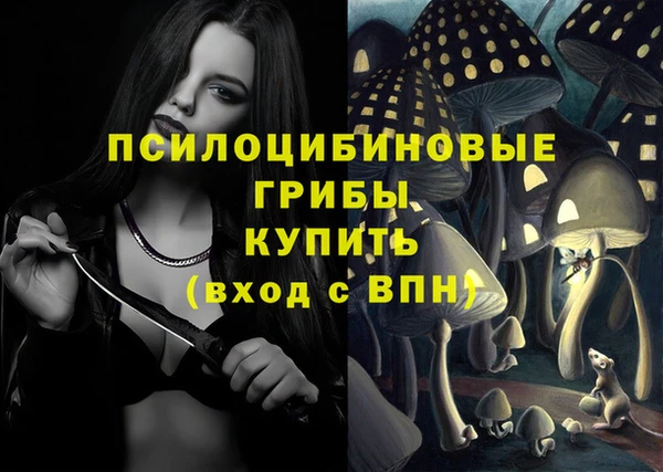 ПСИЛОЦИБИНОВЫЕ ГРИБЫ Абдулино