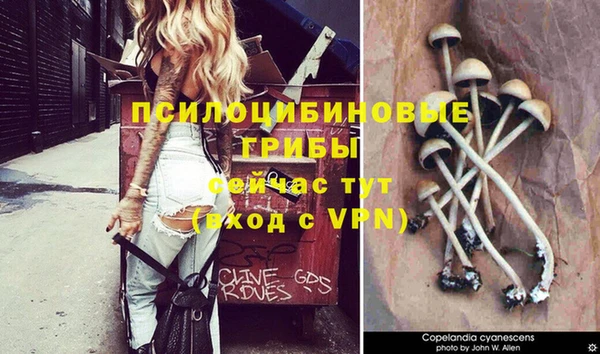 каннабис Приозерск