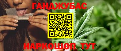 индика Тара