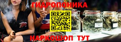 индика Тара