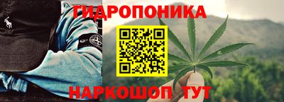 индика Тара