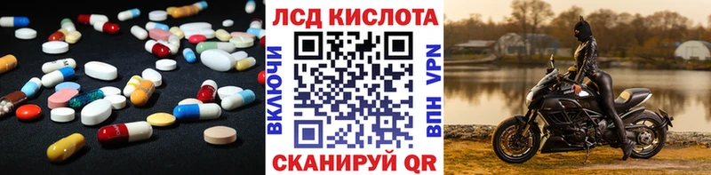 где продают наркотики  Сальск  Лсд 25 экстази ecstasy 