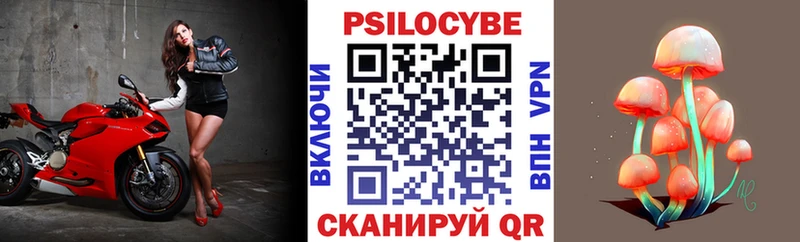 гидра зеркало  Сальск  Галлюциногенные грибы Magic Shrooms 