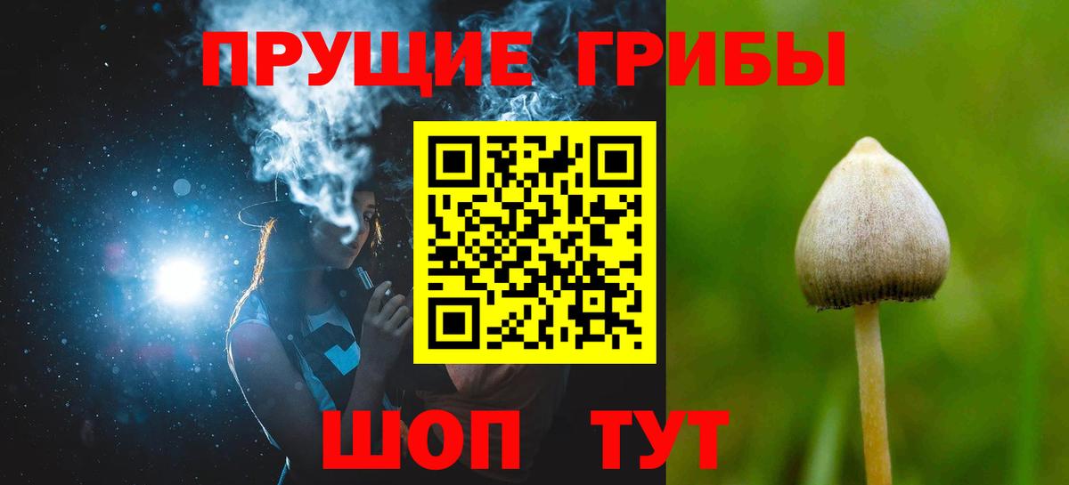 Псилоцибиновые грибы прущие грибы  Вход с VPN  Сальск 