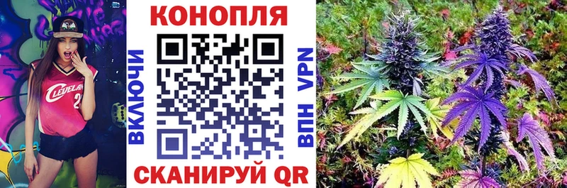 Шишки марихуана Ganja Сальск